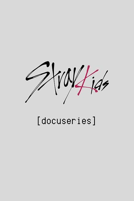 [Stray Kids: Festival Docuseries]